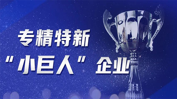 喜訊!洲翔榮膺國家級專精特新“小巨人”企業(yè)